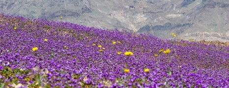 Escaping Education’s Death Valley