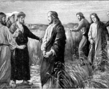 Luke 6:1-5