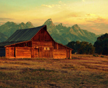 Let Evening Come