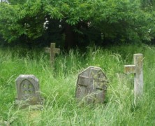 Grass