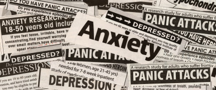 Toward a New Understanding of Mental Illness