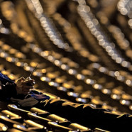 Moneyball and the Future of the Church, Part 1