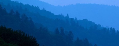 Ascension Day and the Freedom of God