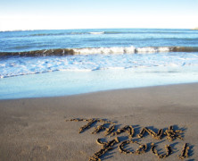 Give Thanks