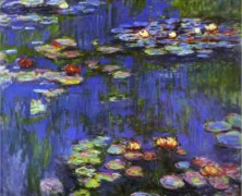 Water Lilies